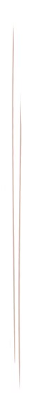 Line-separator-1.png